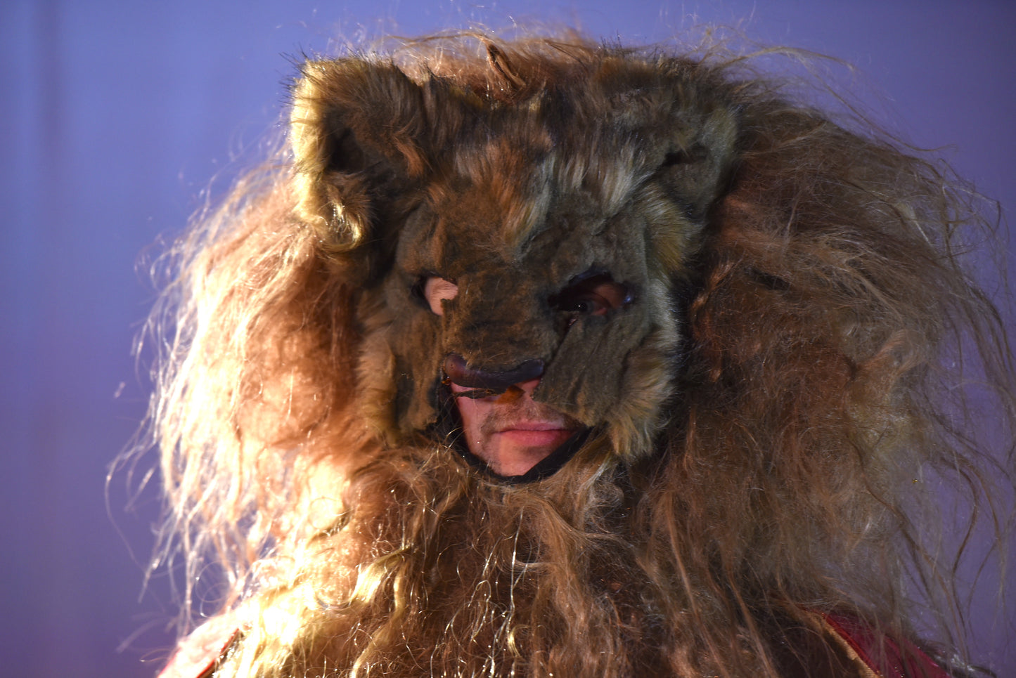 Tierkostüm - Löwe - B058